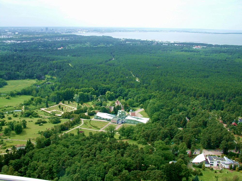 Blick auf den Botanischen Garten und Tallinn